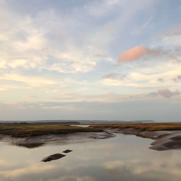 Meet your Posher, Courtney - Picture 1 of 1